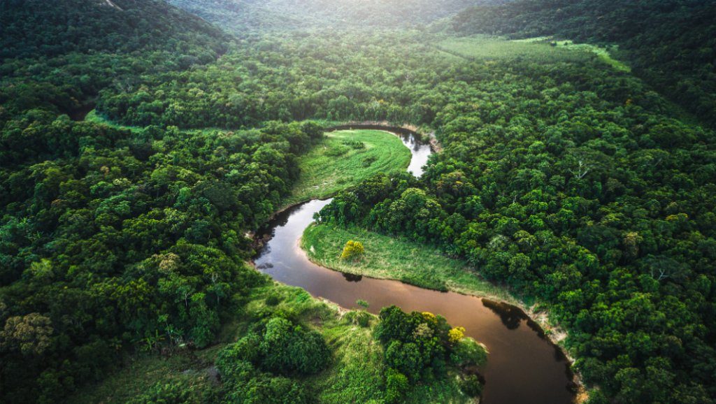 amazonia brasilea