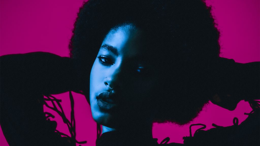 willow cover