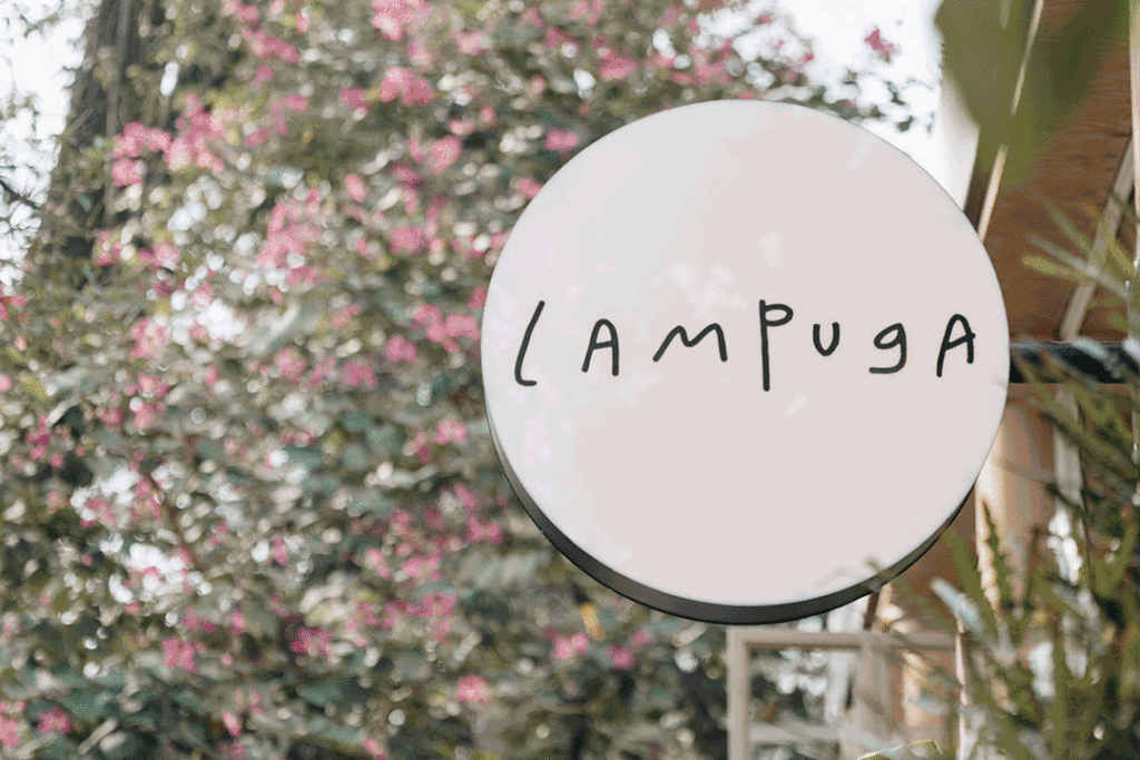 LAMPUGA MAPLE