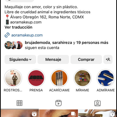 MAPLE-AORA-IG-copia