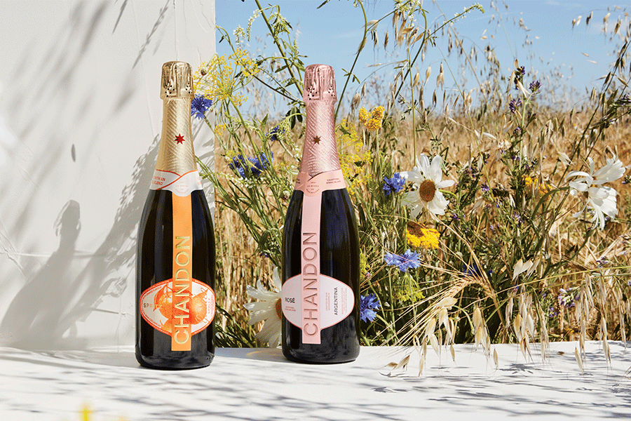 MAPLE CHANDON MADRE