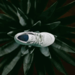 adidas Originals: AGAVE.